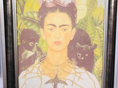 -信马画室 成人零基础到个人创作画室(亚运村店)
