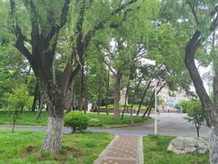 -莱西月湖公园