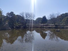 -白马涧龙池景区