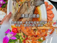 -小海豚•老字号海鲜餐厅(天涯店)