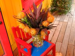 -三鹰之森吉卜力美术馆