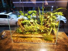 -甜心闲生传统手工冰粉(奎星楼店)