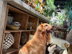 -自由生长植物工作室(深港花卉中心店)