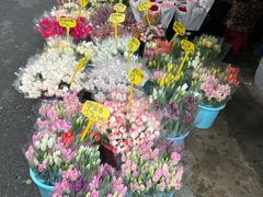 -循礼门鲜花花市(武汉循礼门店)