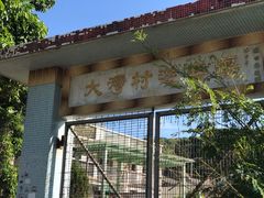 -南丫岛
