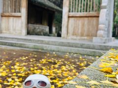-刘伯温故里景区百丈漈