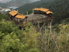 -铁山坪森林公园