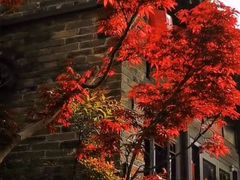 -回龙窝历史文化街区