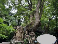 -来宫神社
