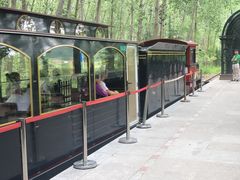 -合肥滨湖国家森林公园