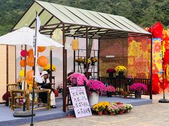 -北京十三陵国家森林公园蟒山景区