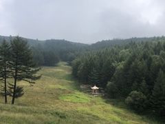 -驼梁风景区