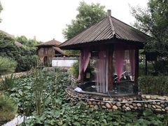 -观唐（国际）度假村温泉