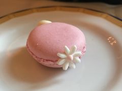 macaron-大堂茶座