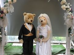 -济州岛泰迪熊博物馆