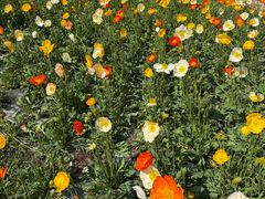 -名花谷生态庄园