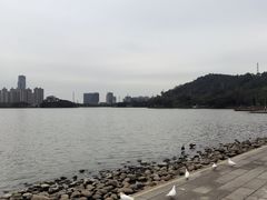 -顺峰山公园