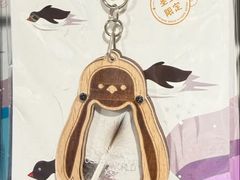 -大连圣亚海洋世界