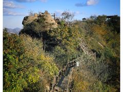 -大岭沟猕猴桃谷风景区