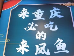-新概念来凤鱼(璧山店)