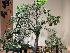 -成川茶店·潮汕工夫浓茶(万象店)