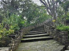 -小南山公园