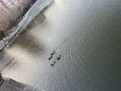 -迎泽公园