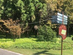-东平国家森林公园