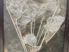 -游龙石文化科普馆