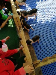 -萌宠亲子动物乐园(槐房万达店)