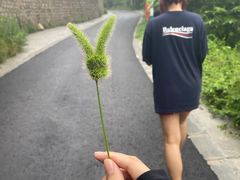 -雾灵西峰