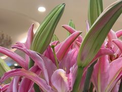 -北京广安门维景国际大酒店