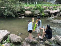 -重庆彩云湖湿地公园