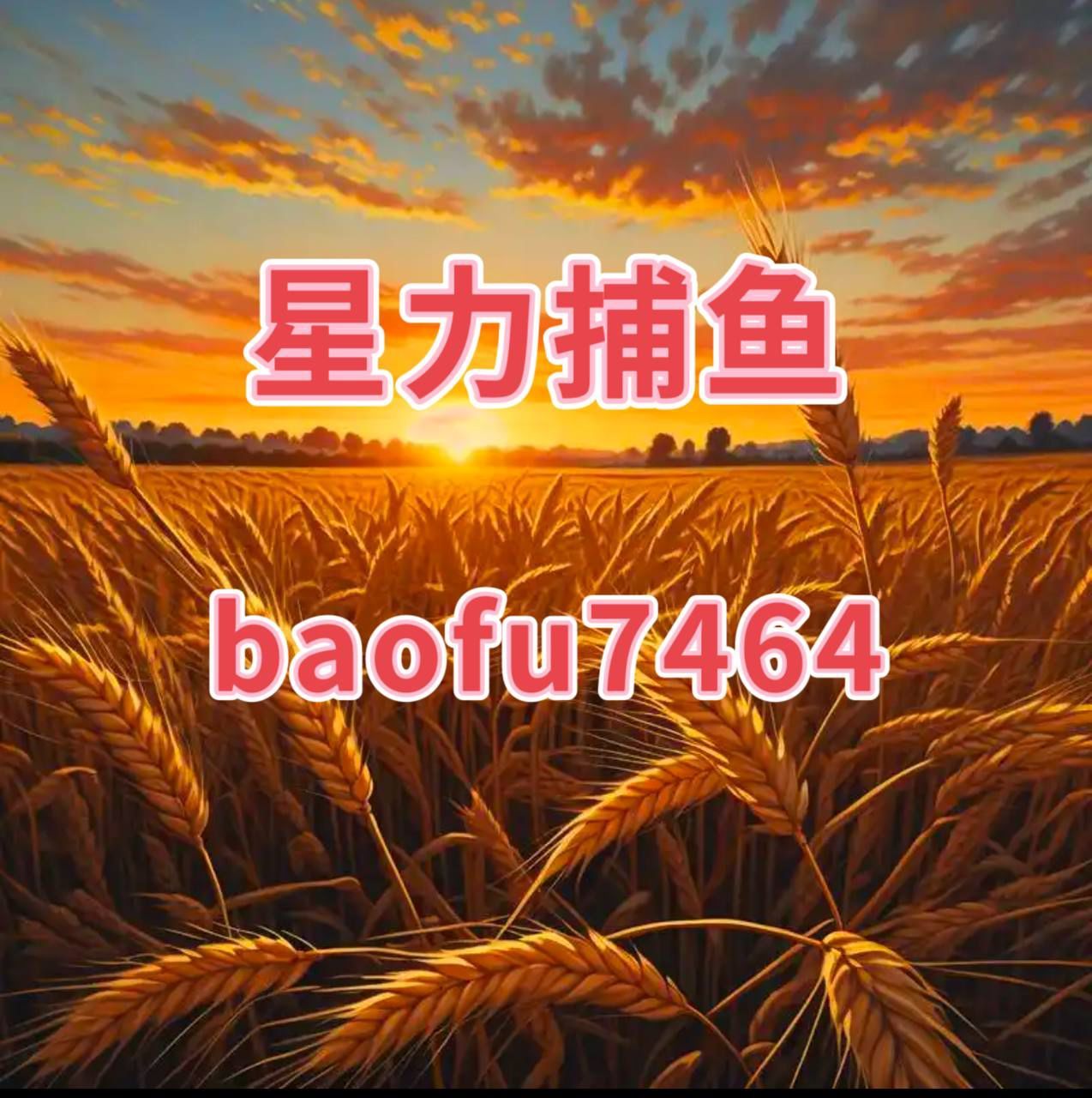 9代星力美人鱼全新平台