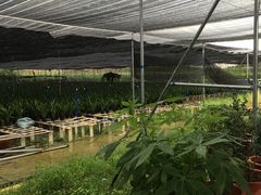 -万达广场(泰安泰山店)