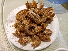 椒盐赖尿虾-新享乐海鲜(翠华路店)