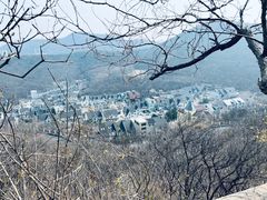 -富斯特索道