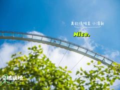 -鲁山国家森林公园