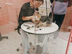 -FAELING PETS美天灵宠物(合生汇店)