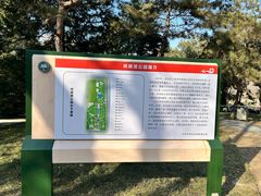-玲珑塔公园