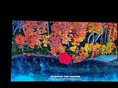 -罗红摄影艺术馆