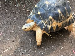 -可伦宾野生动物保护区