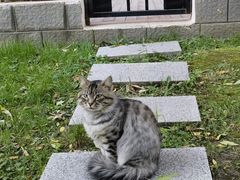 -星河湾温泉洗浴酒店