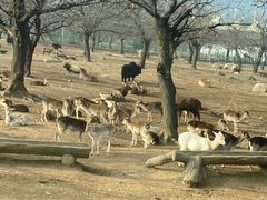 -西安秦岭野生动物园