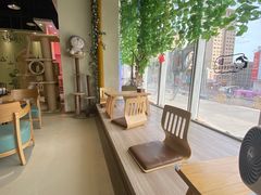 -藏猫猫咖啡主题馆(中央大道店)