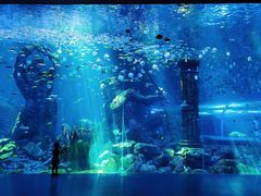 -哈尔滨波塞冬海底世界