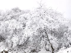 -太子岭滑雪场