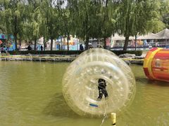 -朝阳公园游乐园