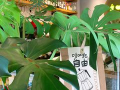 -seed by seed囍得咖啡酒馆(万象天地店)