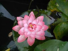 -镇江市南山风景名胜区竹林景区